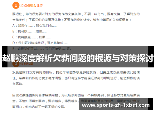 赵鹏深度解析欠薪问题的根源与对策探讨