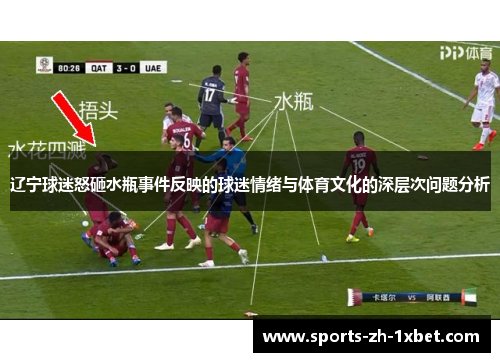 辽宁球迷怒砸水瓶事件反映的球迷情绪与体育文化的深层次问题分析