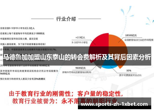 马德鲁加加盟山东泰山的转会费解析及其背后因素分析 马德鲁加加盟山东泰山的转会费解析及其背后因素分析